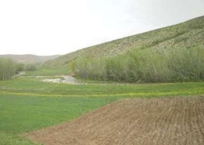 کشف 33پرونده زمین خواری در گلستان