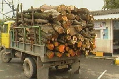 درخواست استاندار از بسیج برای ورود به موضوع قاچاق چوب در گلستان / گلستان مقصد کالای قاچاق است نه مبدأ