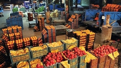 توزیع میوه شب عید از فردا در گلستان
