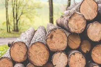 پلیس گرگان انبار ۲ تُن چوب قاچاق را شناسایی و ضبط کرد