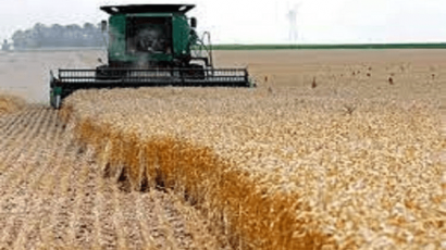 آغاز پرداخت مطالبات گندم‌کاران گلستانی